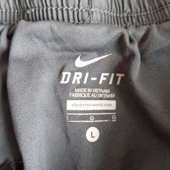 Nike Running Shorts Womens Size Large Gray/Purple Dri Fit Lined‎ Shorts - Picture 2 of 6